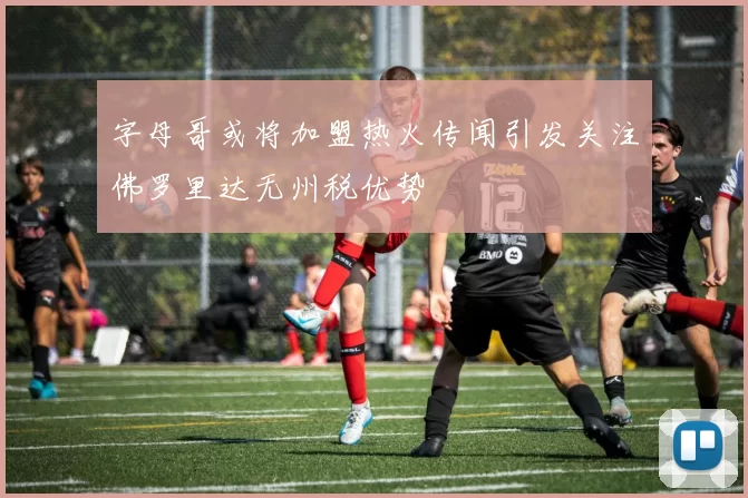 字母哥或将加盟热火传闻引发关注佛罗里达无州税优势